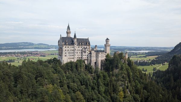 ドイツ・フランクフルト「夏のヨーロッパを観光」の写真：ノイシュバンシュタイン城、ミュンヘン市庁...