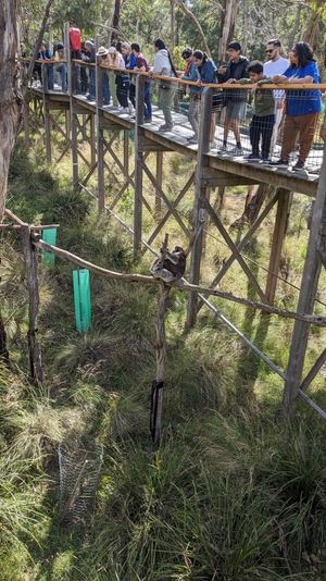 メルボルンからシドニー1泊の旅行。年越しを挟んだ。盛大な花火などで、日本と...