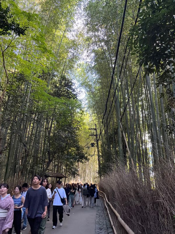 日本・京都府「京都旅✈︎」の写真