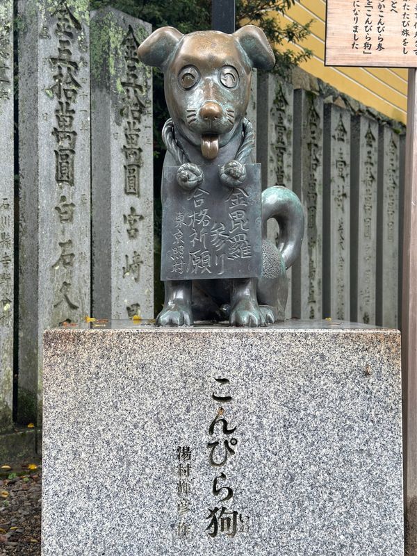 日本「高松・鳴門　2024.10」の写真