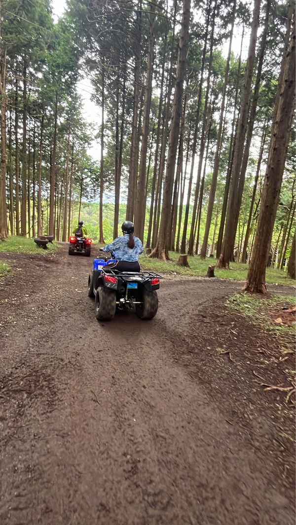 日本・静岡県「彼の誕生日記念 三島旅行」の写真：三島スカイウォーク-バギーアクティビティ