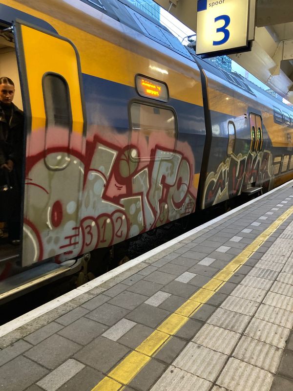 オランダ・アムステルダム「🇳🇱プレゼント旅行」の写真：建物はキレイだけどGraffitiとステ...