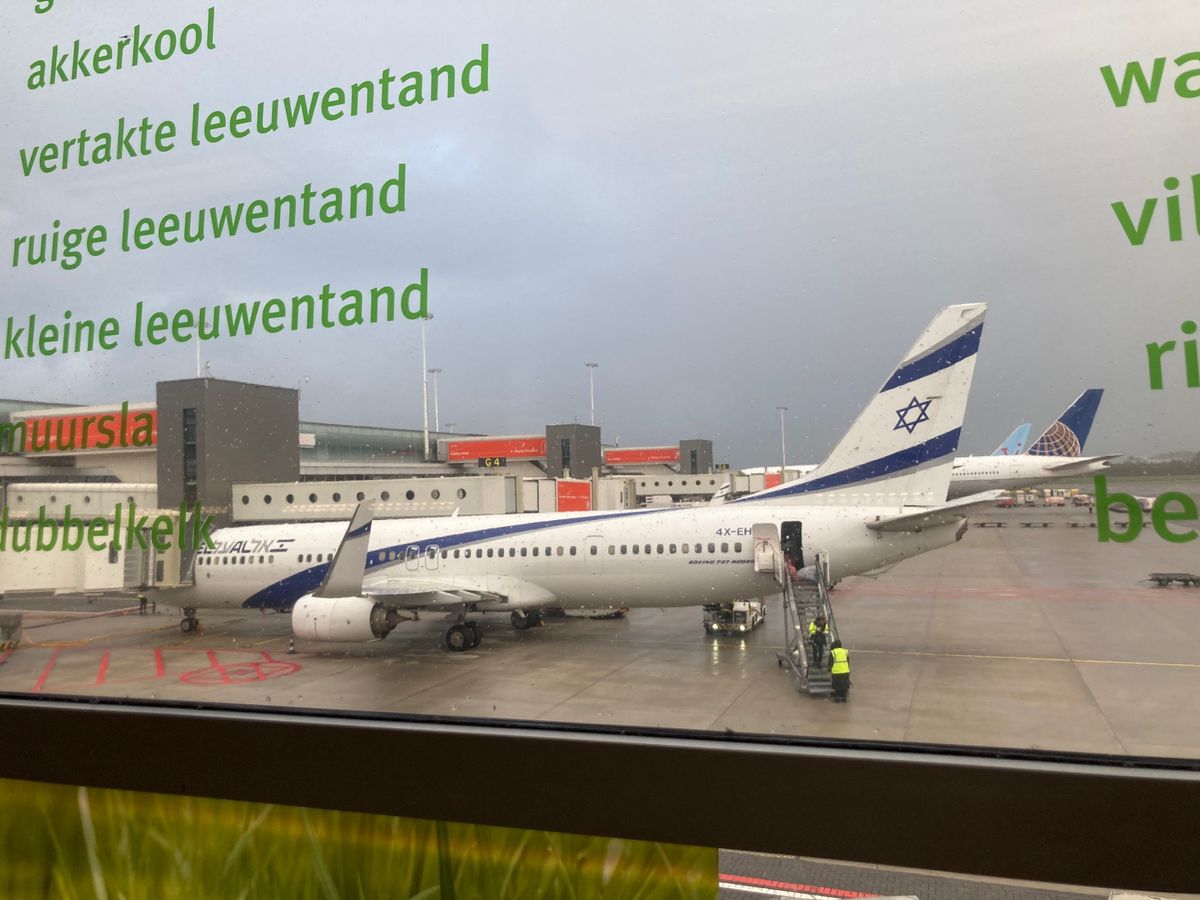 沖縄はちっちゃすぎてハブられてた😂地味に空港3つあるのに😂💭
飛行機はいつ...