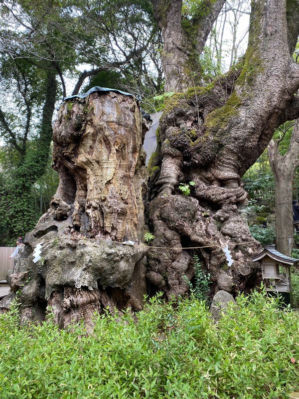 日本・静岡県「熱海」の写真
