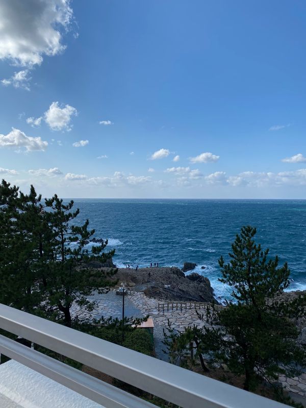 日本・福井県「🦀」の写真