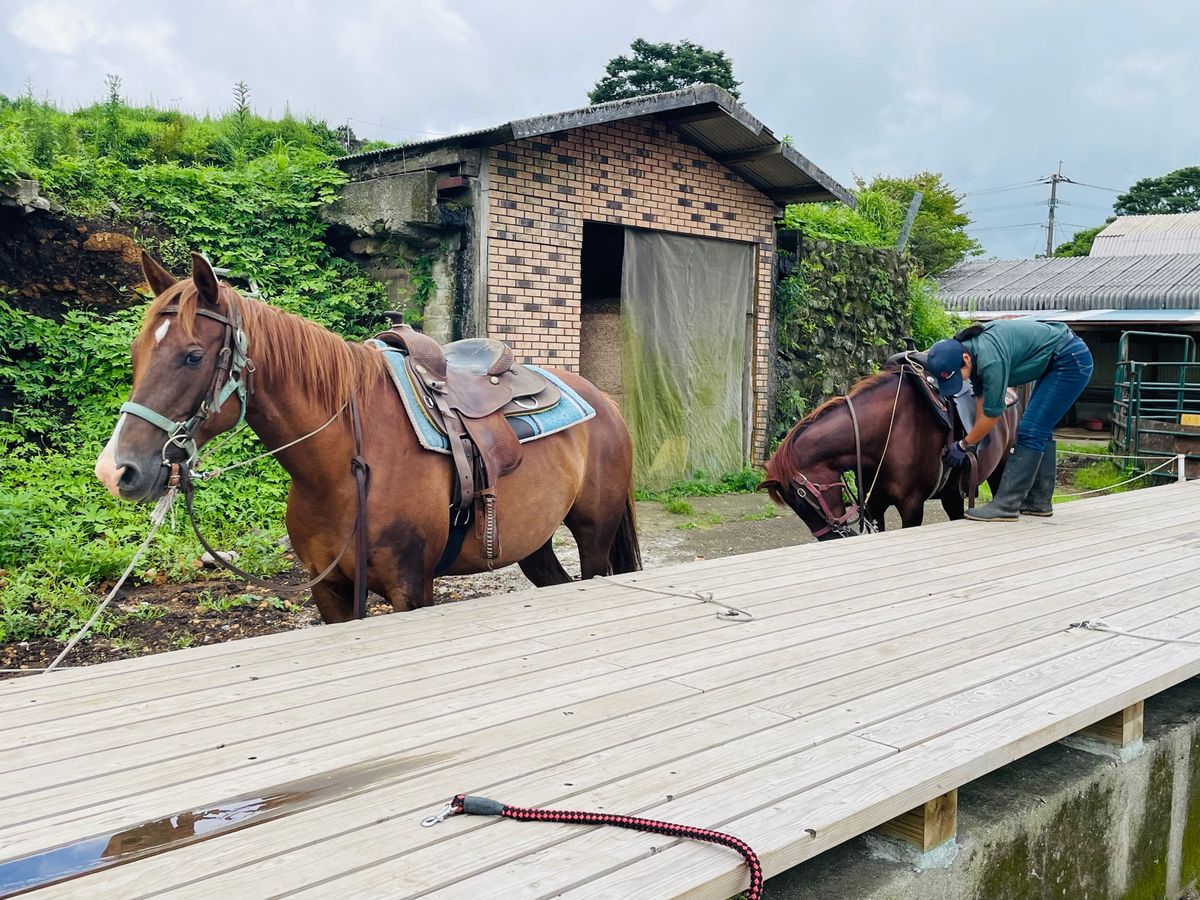 お利口さんの馬さんに1時間お散歩