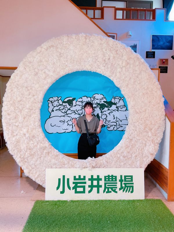 日本・盛岡「盛岡わんこそばの旅」の写真