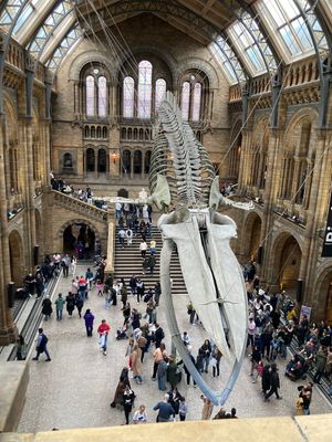 📍ロンドン自然史博物館
ヴィクトリア・アンド・アルバート美術館から徒歩10...