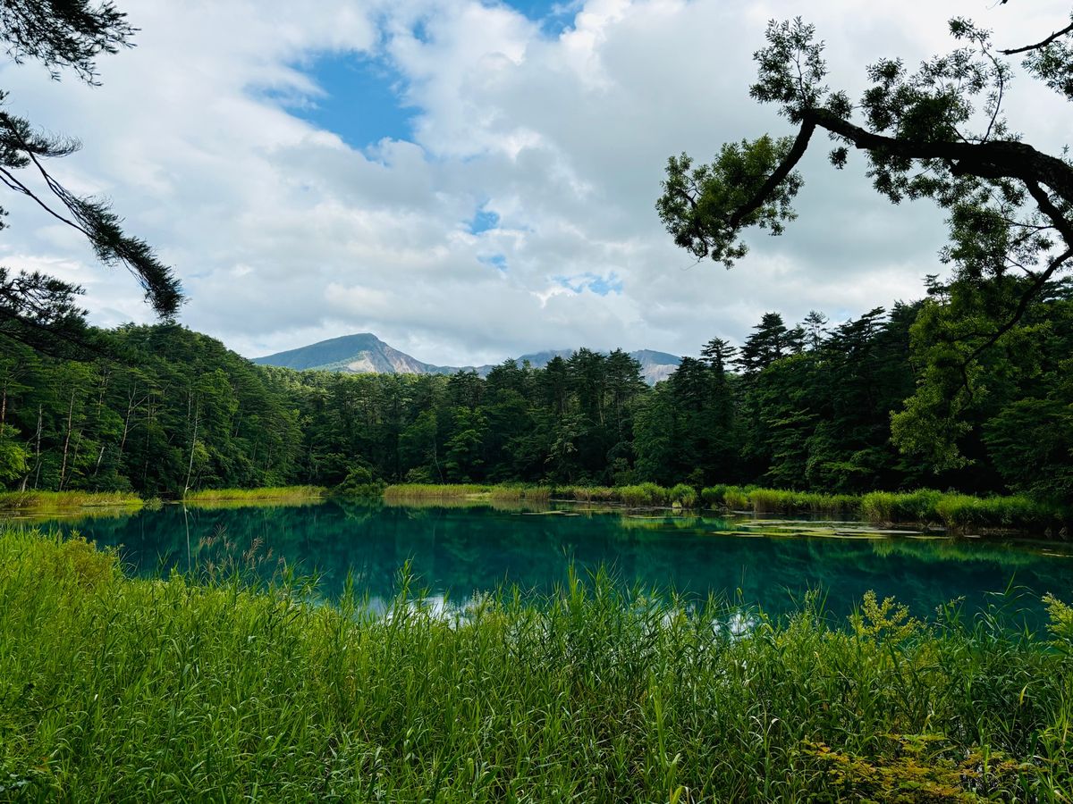 お天気が不穏でしたが五色沼を散策。
