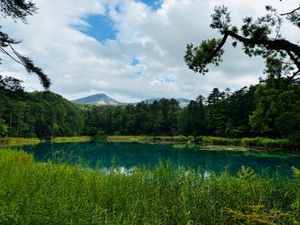 お天気が不穏でしたが五色沼を散策。