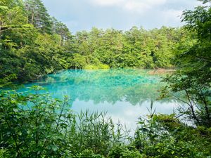 お天気が不穏でしたが五色沼を散策。