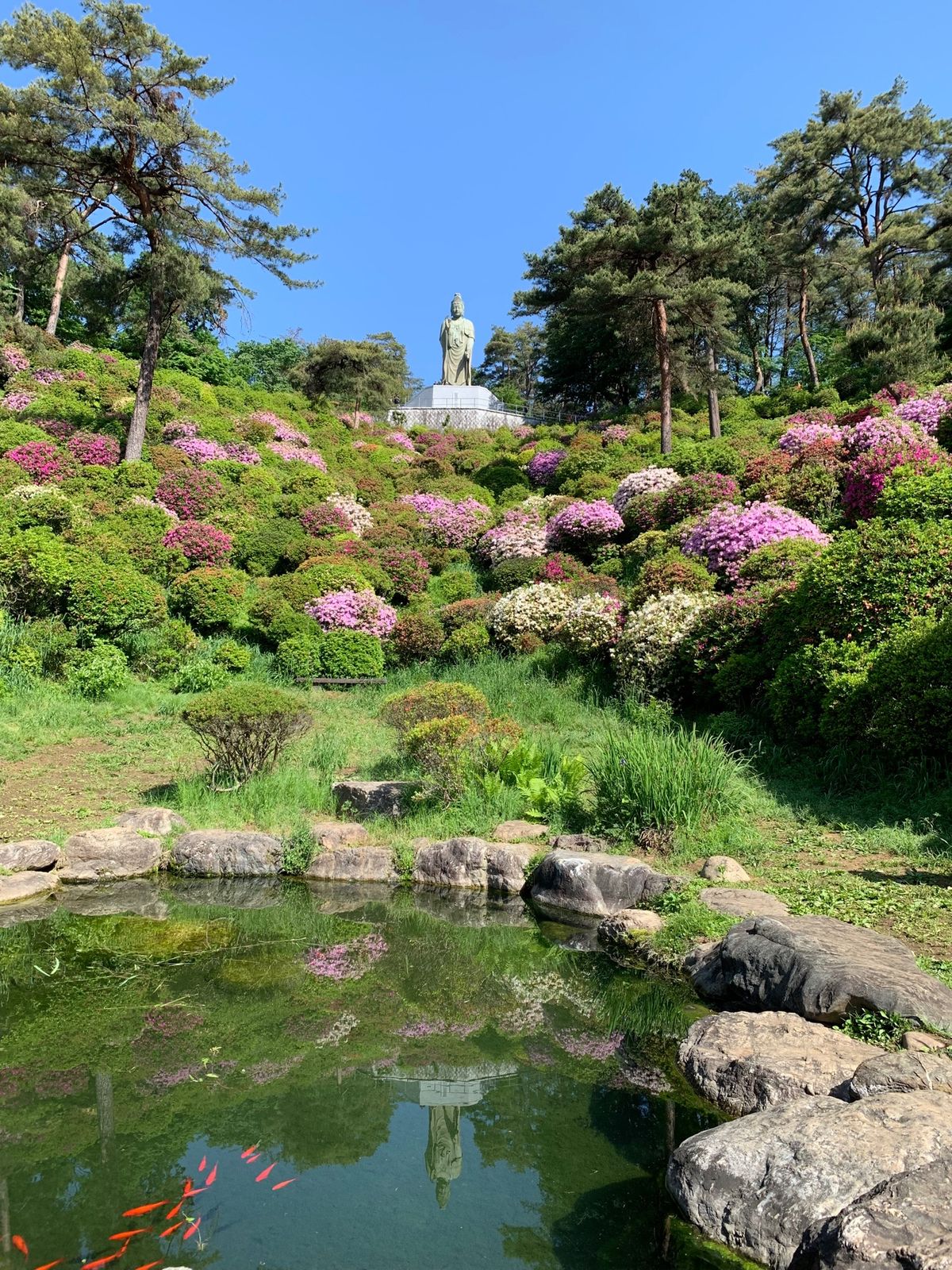 塩船観音寺
奥多摩湖
わさぴー
わさびソフト
わさびソフトはすりおろした生...