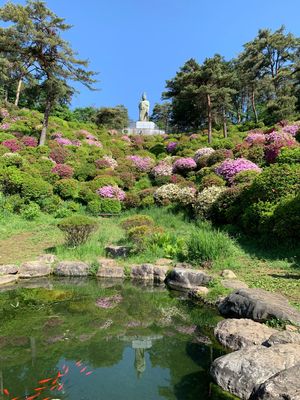 塩船観音寺
奥多摩湖
わさぴー
わさびソフト
わさびソフトはすりおろした生...