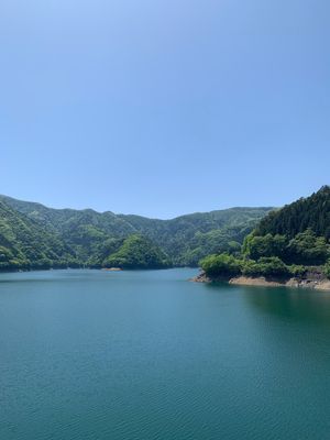 塩船観音寺
奥多摩湖
わさぴー
わさびソフト
わさびソフトはすりおろした生...