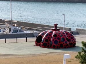 直島
ANDO MUSEUMに地中美術館の模型があった！
ミカヅキショウテ...