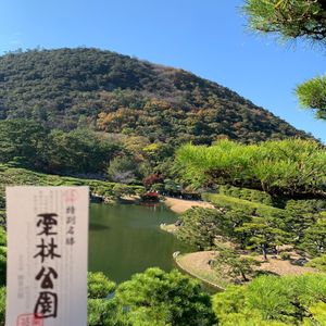 栗林公園、紅葉にはちょっと早かった🍁
高松は海鮮がとても美味しい🐟