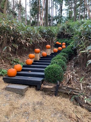 ニコライバーグマン箱根ガーデンズ
ハロウィン仕様になってて可愛い🎃