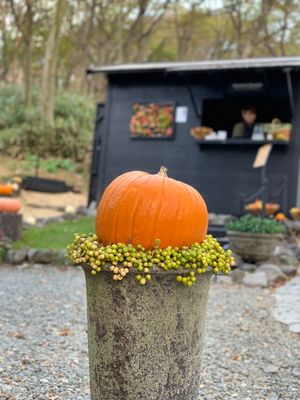 ニコライバーグマン箱根ガーデンズ
ハロウィン仕様になってて可愛い🎃