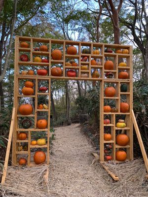 ニコライバーグマン箱根ガーデンズ
ハロウィン仕様になってて可愛い🎃