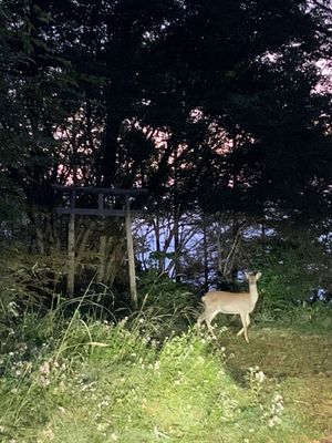 4時間待ちのシャトルバス、ロープウェイ
