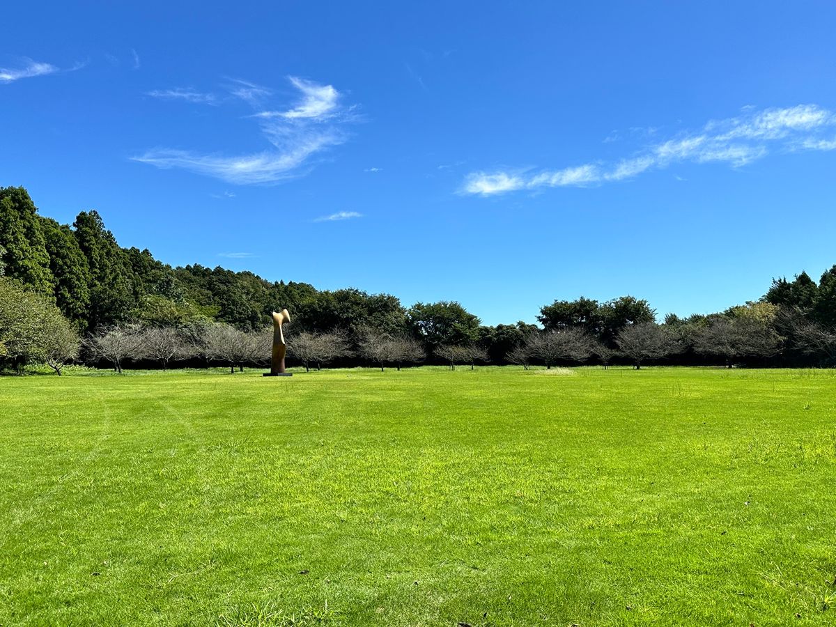 川村記念美術館がなくなるとのことで訪問。
激混みの駐車場🅿️
中は広大。
...