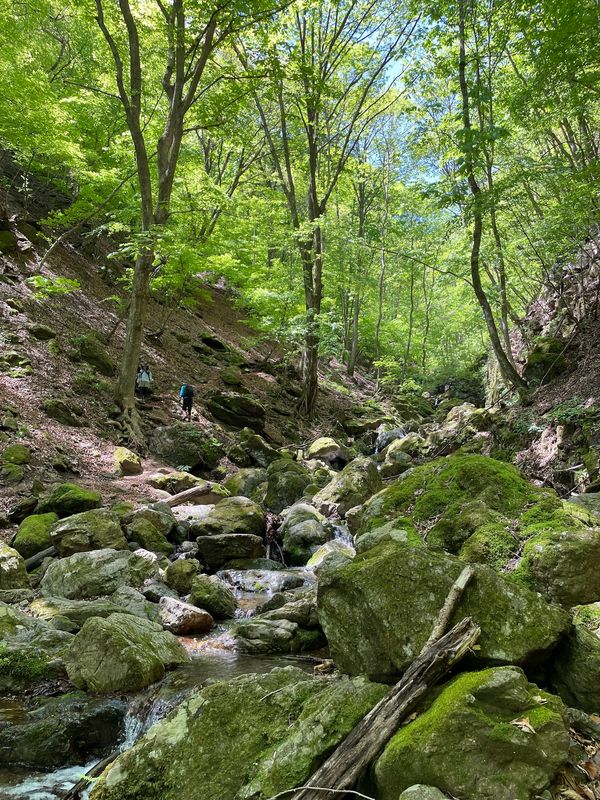 日本・埼玉県「両神山」の写真