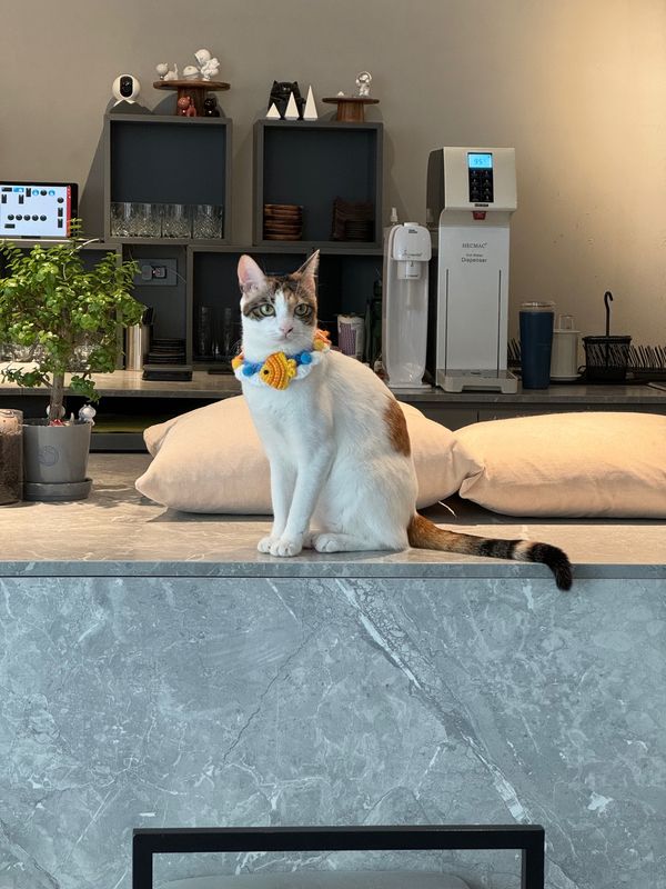 台湾「推し活」の写真