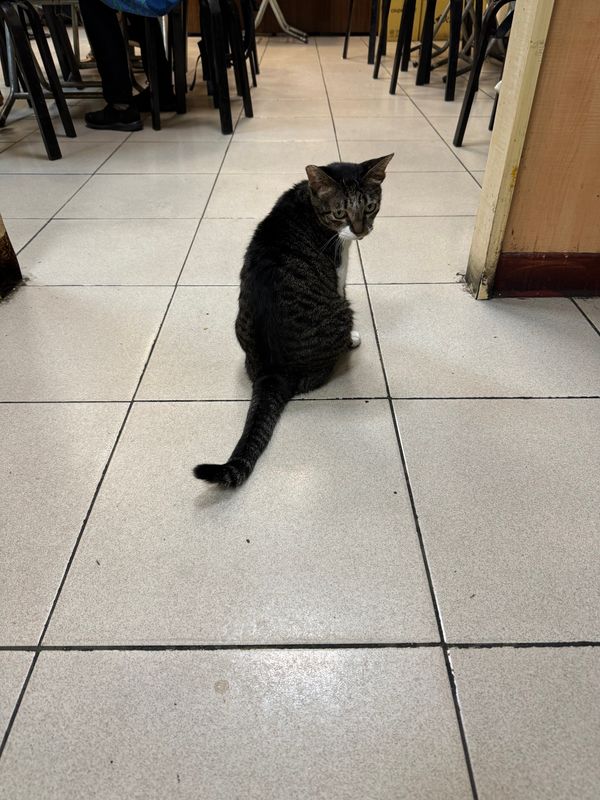 台湾「推し活」の写真