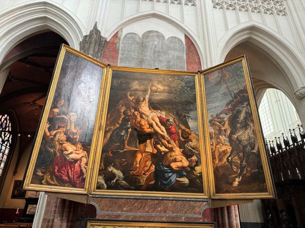 オランダ「猫祭りに参加」の写真