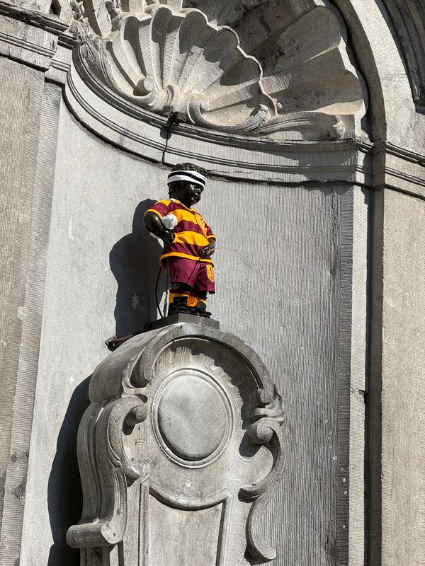 オランダ「猫祭りに参加」の写真：ブリュッセル