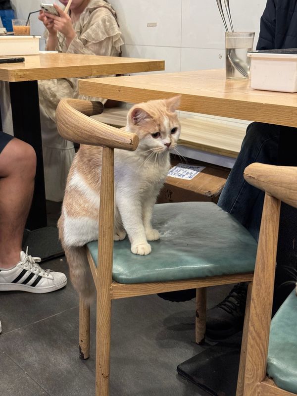 香港「香港」の写真