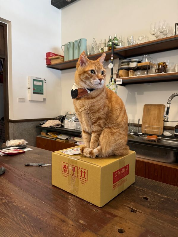 台湾「推し活」の写真