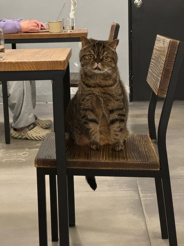 台湾「推し活」の写真