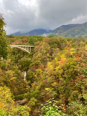 バードウォッチングの後は、宮城県一の紅葉の名所、鳴子峡に行ってきました。