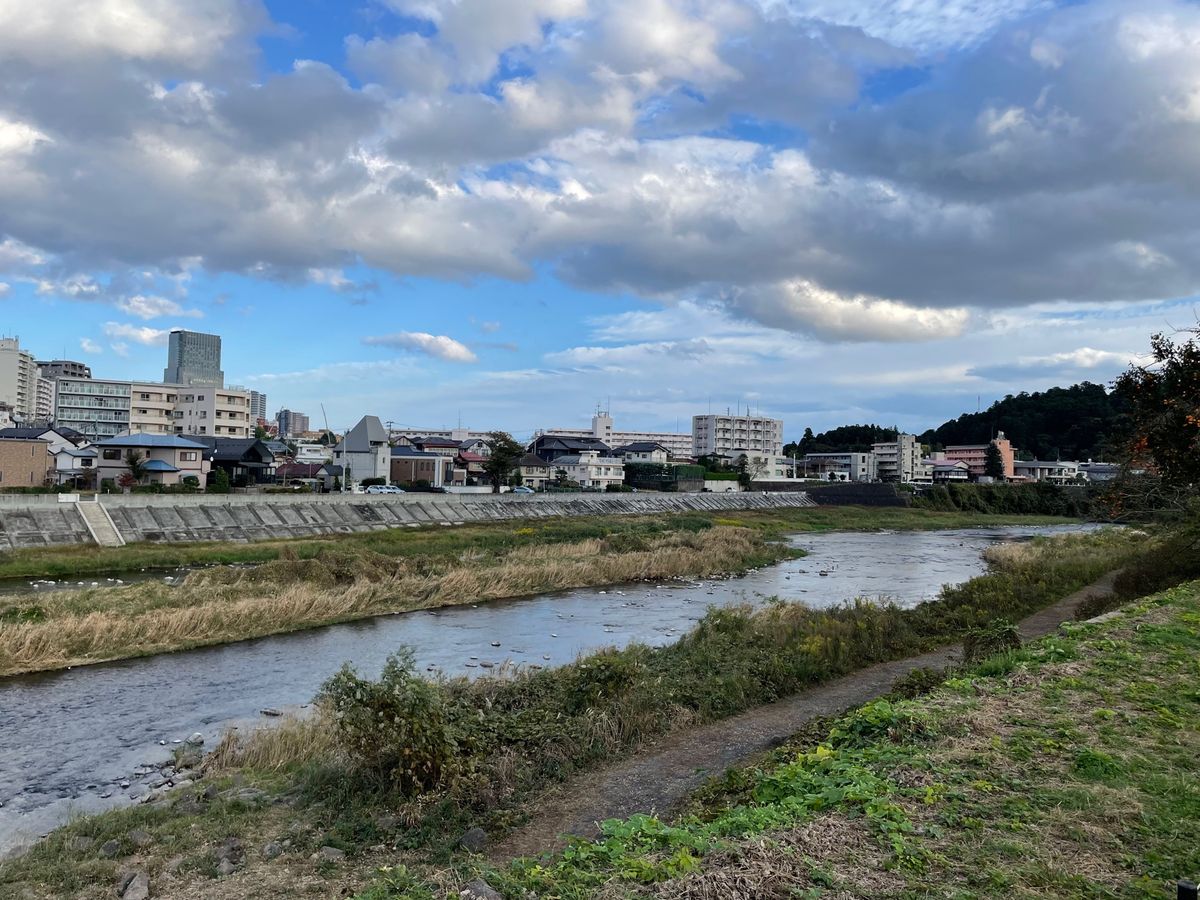 仙台市を流れる広瀬川。ヤマセミを発見！