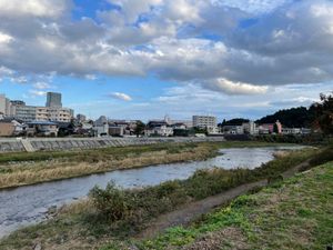 仙台市を流れる広瀬川。ヤマセミを発見！