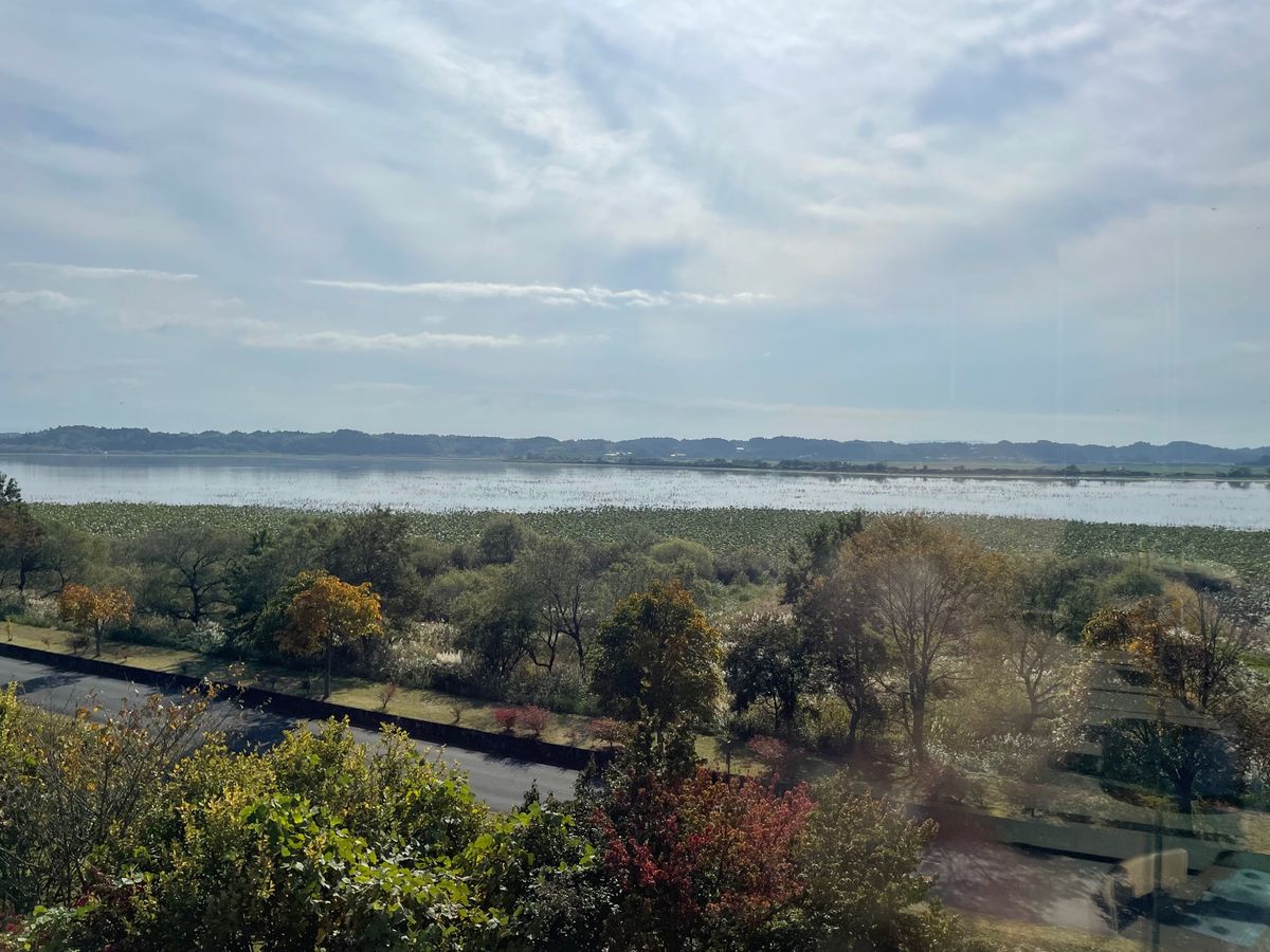 伊豆沼のほとりには立派なネイチャーセンターがあります。