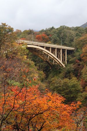 バードウォッチングの後は、宮城県一の紅葉の名所、鳴子峡に行ってきました。