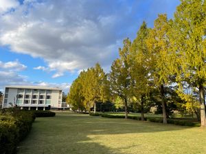 最終日は途中で仙台にも立ち寄りました。街中の紅葉も綺麗でした。