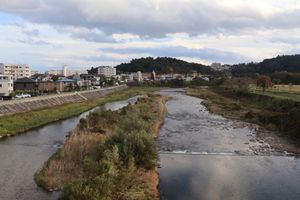 仙台市を流れる広瀬川。ヤマセミを発見！