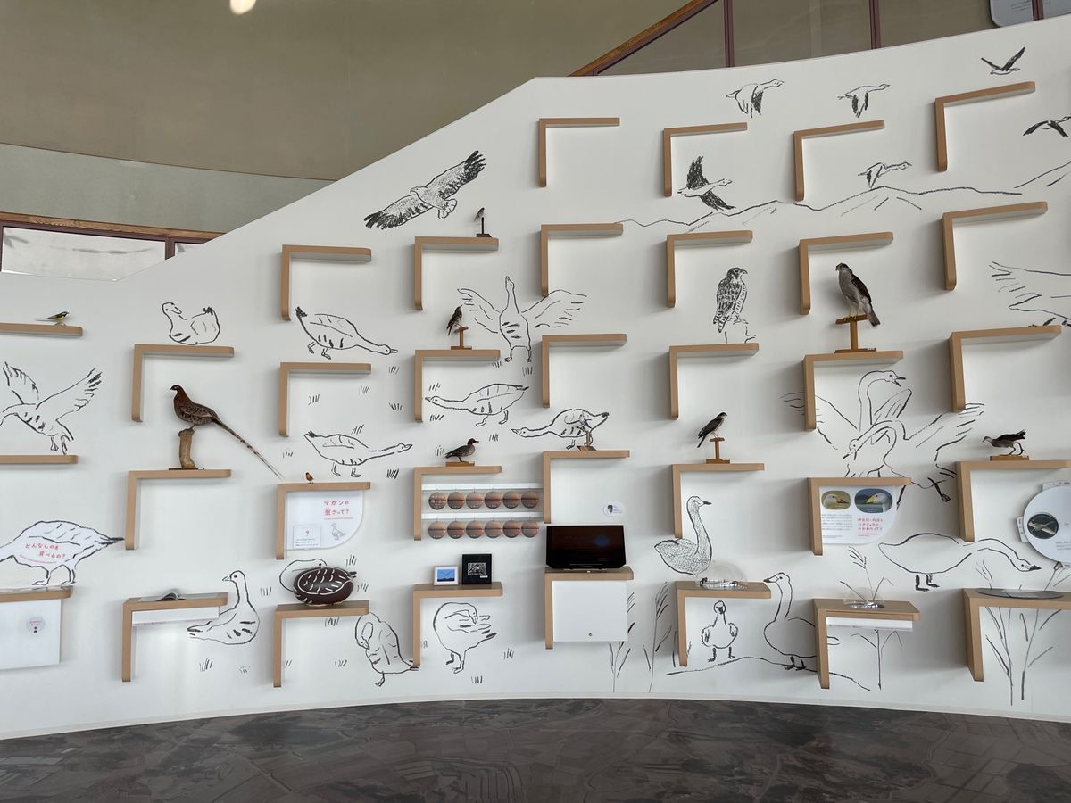 伊豆沼のほとりには立派なネイチャーセンターがあります。