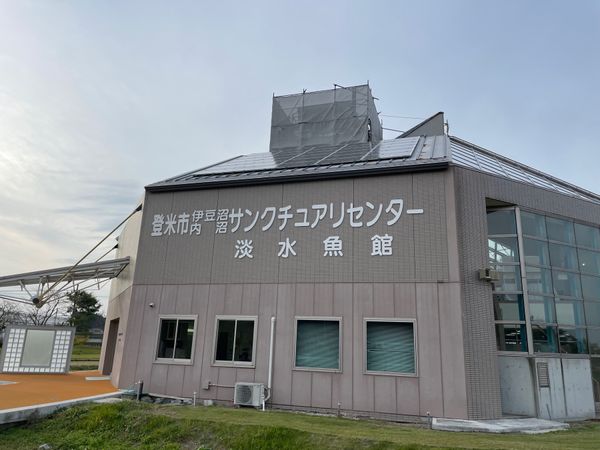 日本・宮城県「2024年伊豆沼バードウォッチング」の写真：伊豆沼のサンクチュアリセンターには淡水魚...