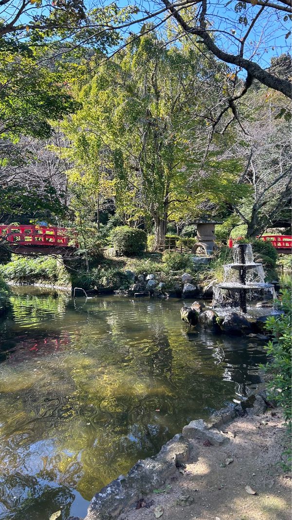 日本・島根県「リフ旅 4泊🚃」の写真：羽衣池でお参り⛩
たい焼き美味すぎた🤍