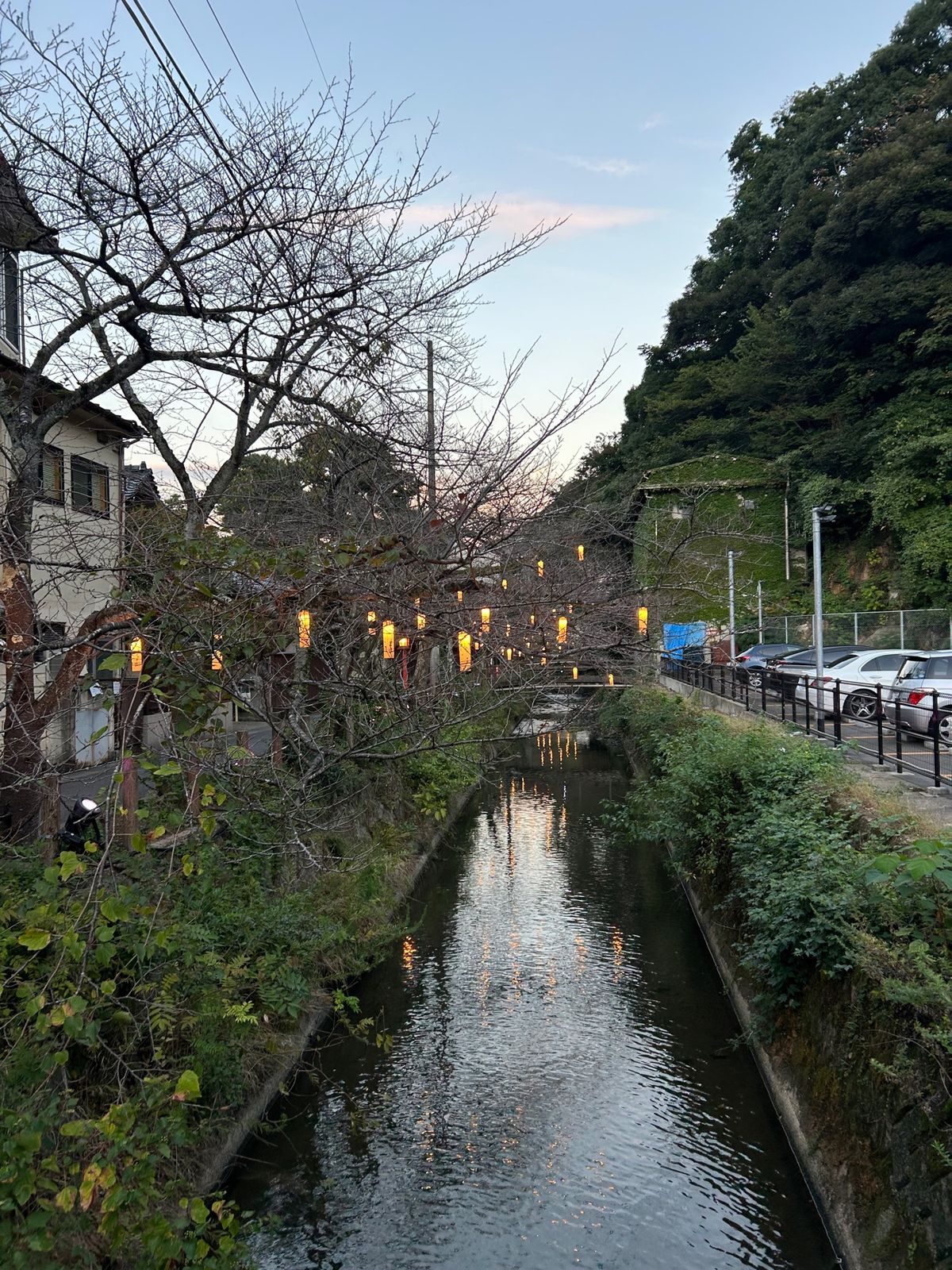 城崎温泉の温泉街の景色
どの時間帯も綺麗で違う景色が楽しめて、歩くの楽しかったな