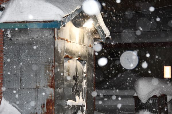 日本・北海道「道北帰省」の写真