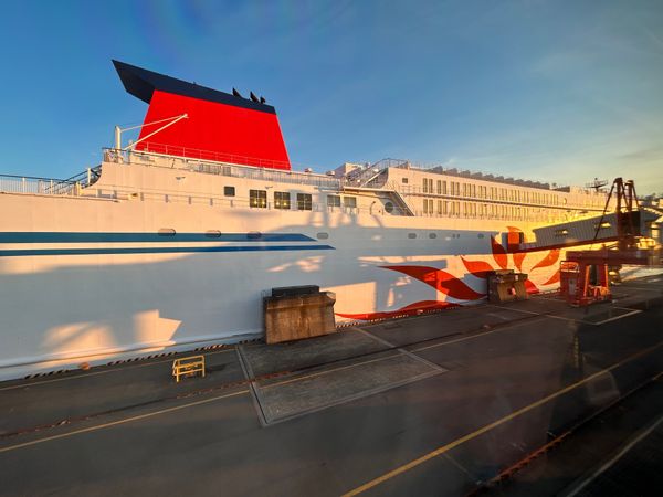 日本・千葉県「横浜帰省」の写真