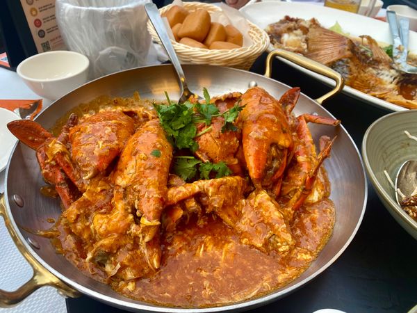 シンガポール・シンガポール「シンガポール」の写真