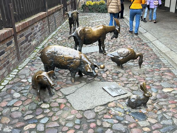 ポーランド・ワルシャワ「ポーランド旅行」の写真：12/29
ヴロツワフ観光
ヤトキ通り、...