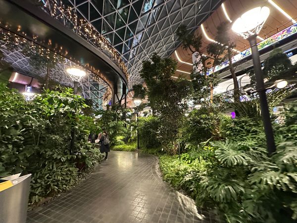 カタール・ドーハ「ポーランド旅行　ドーハ滞在」の写真：1/4
ドーハ・ハマド国際空港で1泊後、...