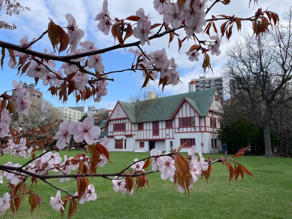 日本・北海道「北海道」の写真